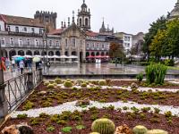 Kaktusbeet an der Praça da Republica - Braga